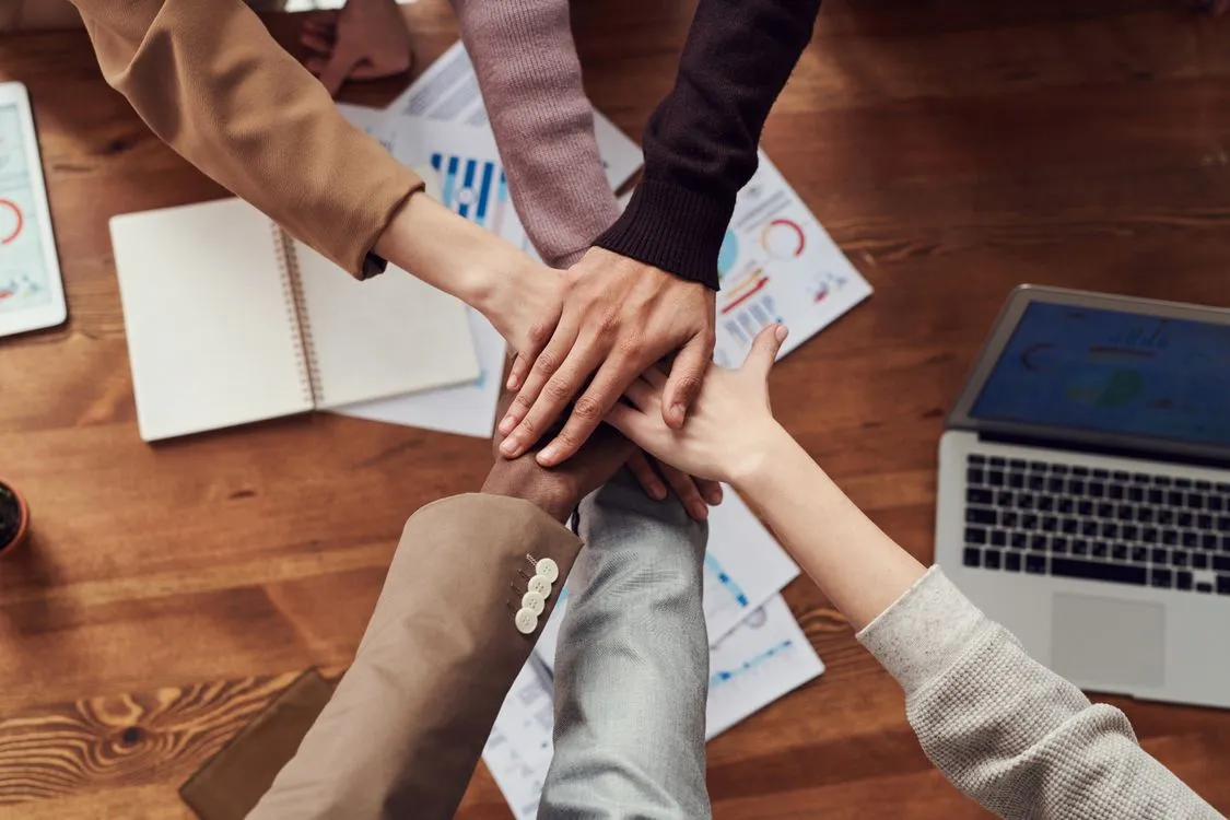 Five questions to ask before signing brand identity design services