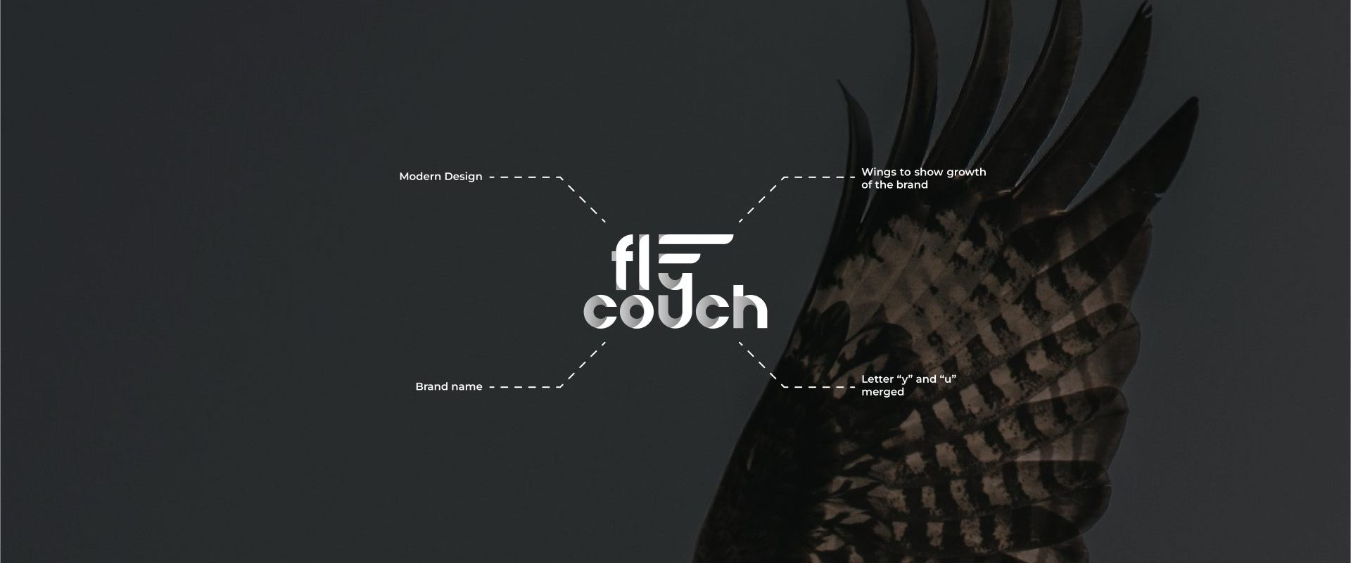 fly coch Concept